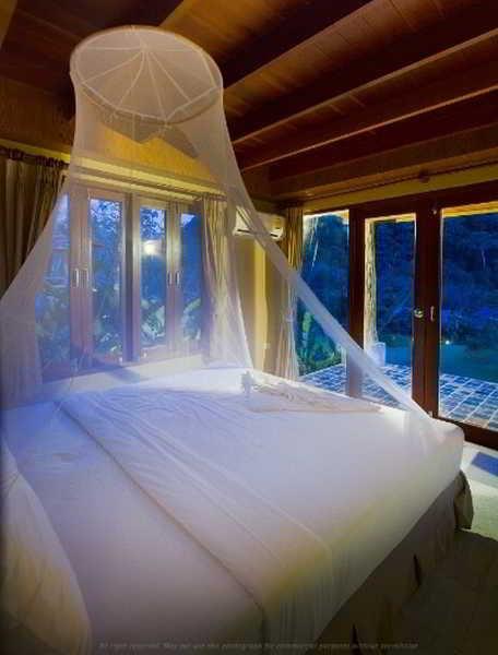 Cliff And River Jungle Hotel Surat Thani Luaran gambar